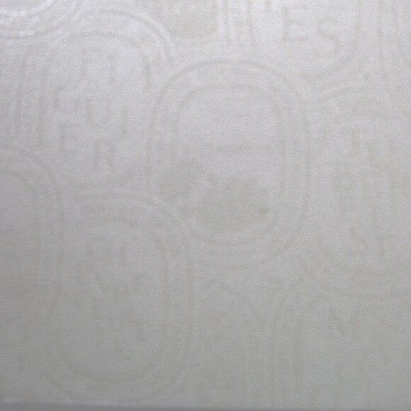 DIPTYQUE GIFT BAG & BOX BUNDLE - Picture 14 of 16